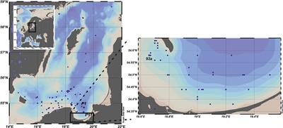 Seasonal and Spatial Changes of Primary Production in the Baltic Sea (Europe) Based on in situ Measurements in the Period of 1993–2018